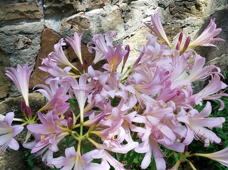 A Year of Reflections: Reflection #35