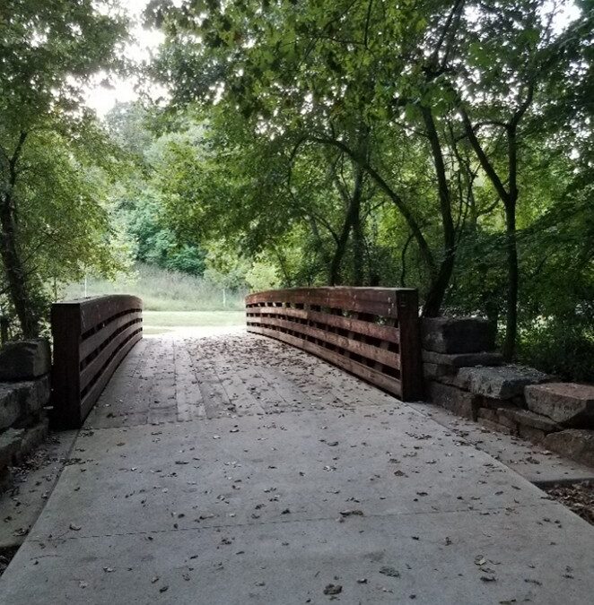 A Year of Reflections: Reflection #37