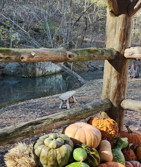 A Year of Reflections: Reflection #43