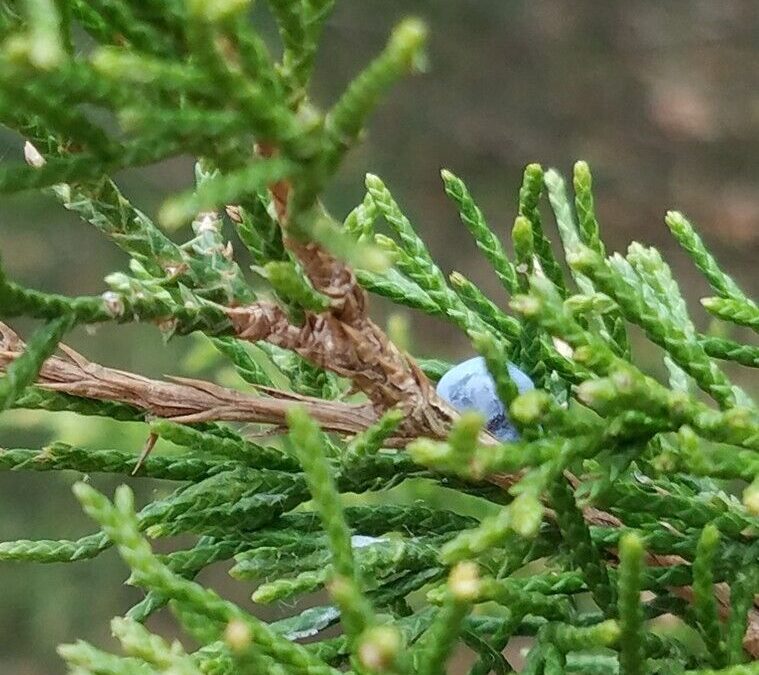 A Year of Reflections: Reflection #44