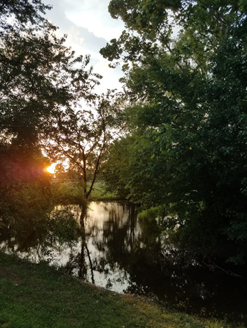 A Year of Reflections: Reflection #41