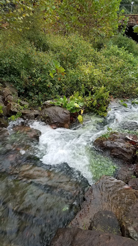 A Year of Reflections: Reflection #45