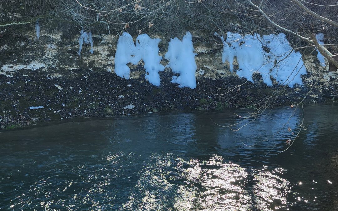 A Year of Reflections 2026: Reflection #2