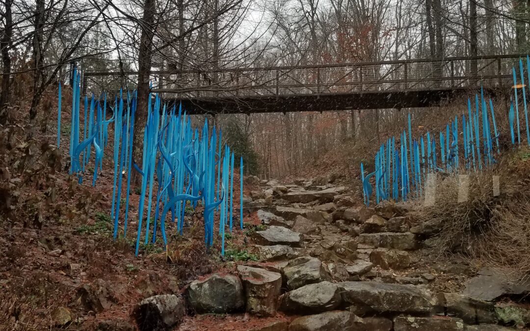 A Year of Reflections 2026: Reflection #3