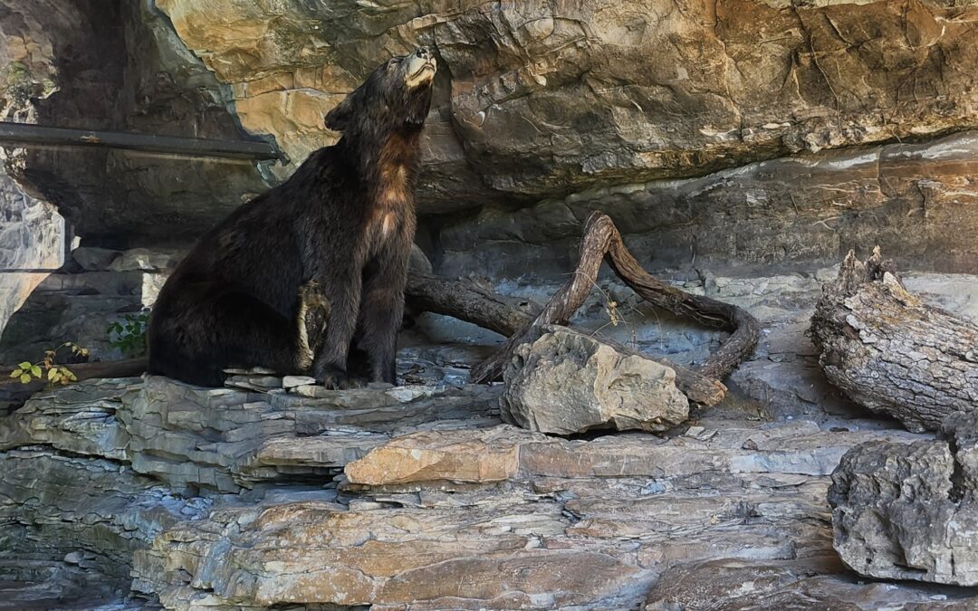 A Year of Reflections 2026: Reflection #4