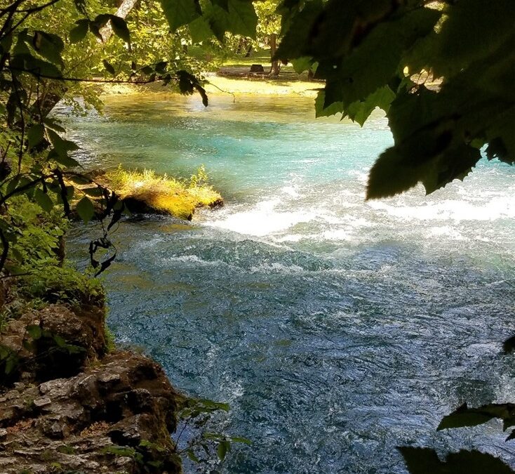 A Year of Reflections 2026: Reflection #8