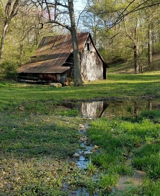 A Year of Reflections 2026: Reflection #16
