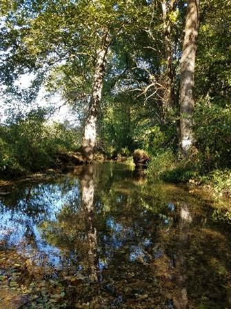 A Year of Reflections 2026: Reflection #25